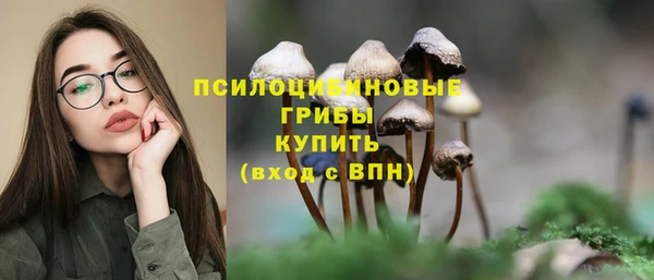 ECSTASY Алексин